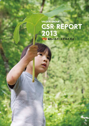 csr2013-1